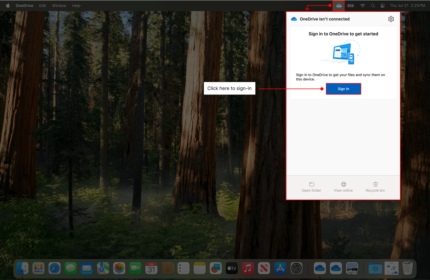 Image indicating the sign in screen for OneDrive