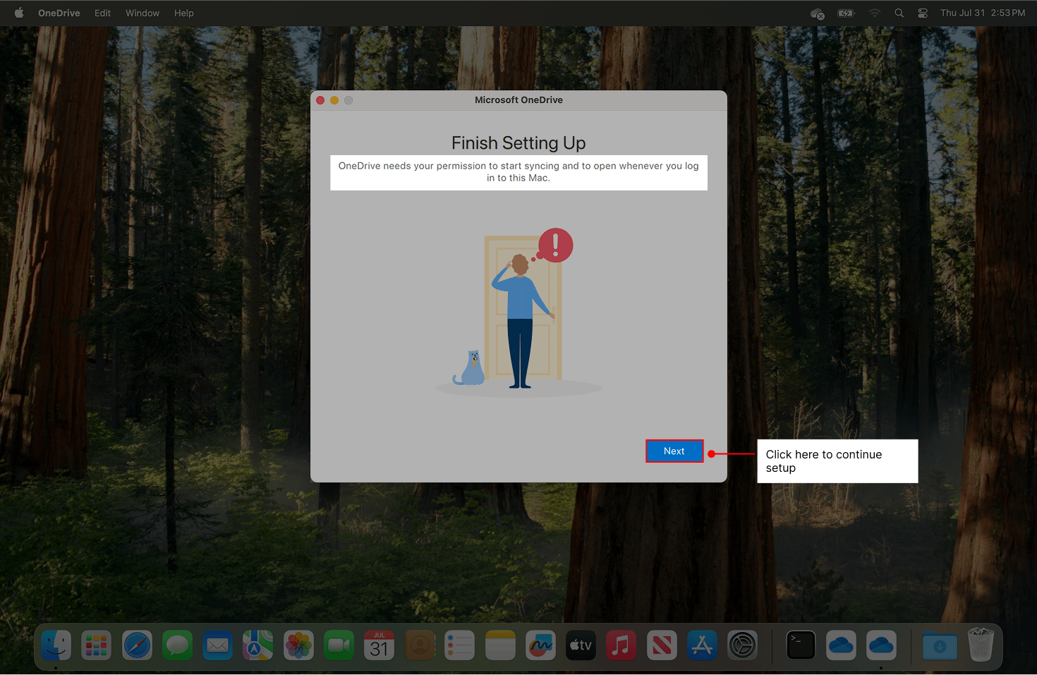 OneDrive asks for you to click Next and start the service.