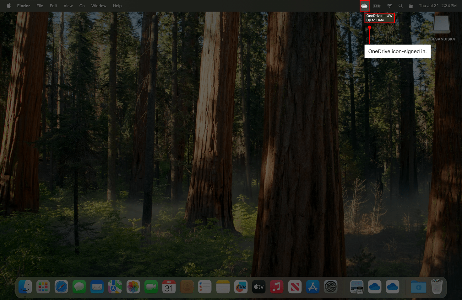 Indicating that OneDrive is signed in.
