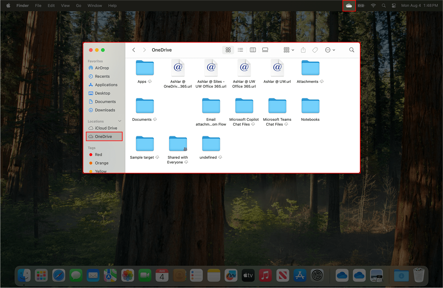Indicating the mapped OneDrive folder in Finder.