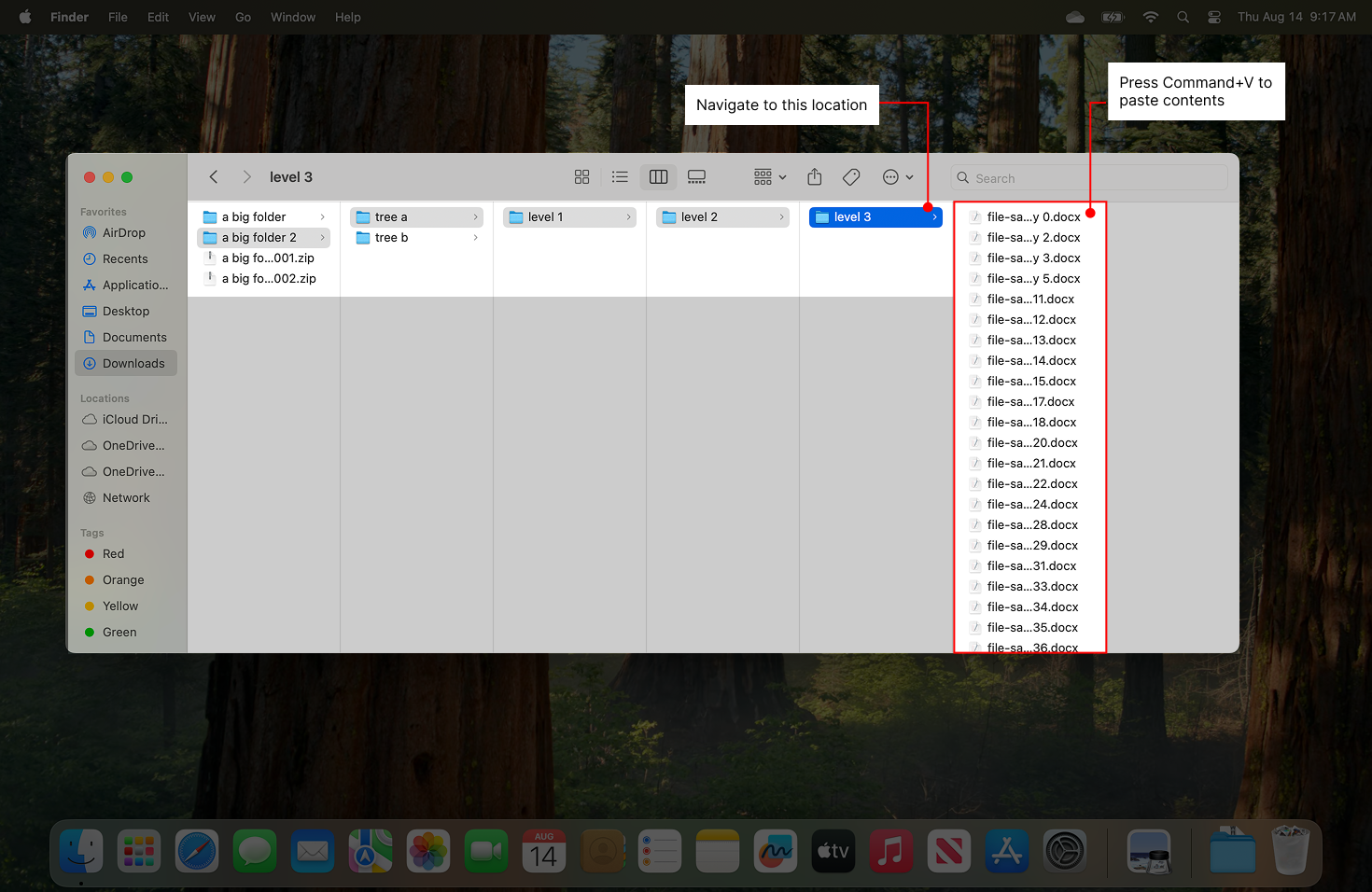 Showing the secondary file location on disk with instructions to COMMAND + V.