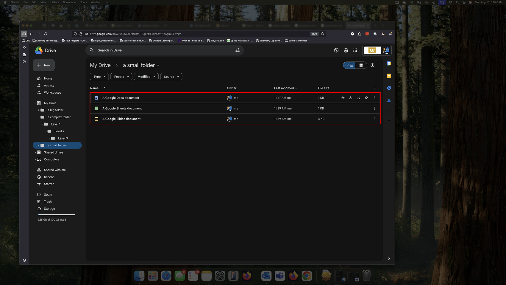 Showing the contents of A Small Folder