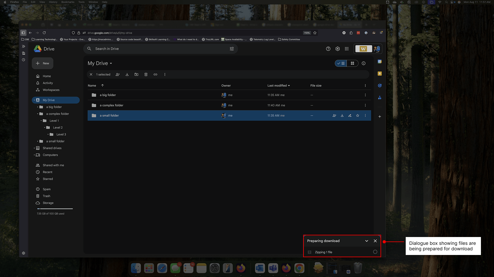 Showing that Google Drive is preparing the donwload.