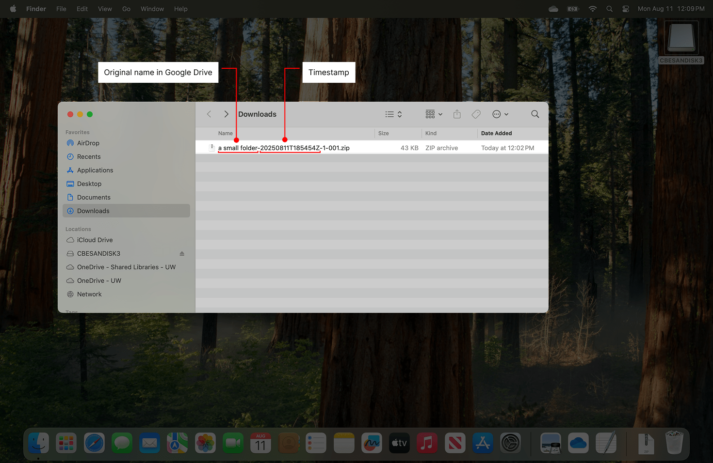 Indicates file name. Shows that the original Google Drive name is maintained and that a timestamp is added to the Zip file.