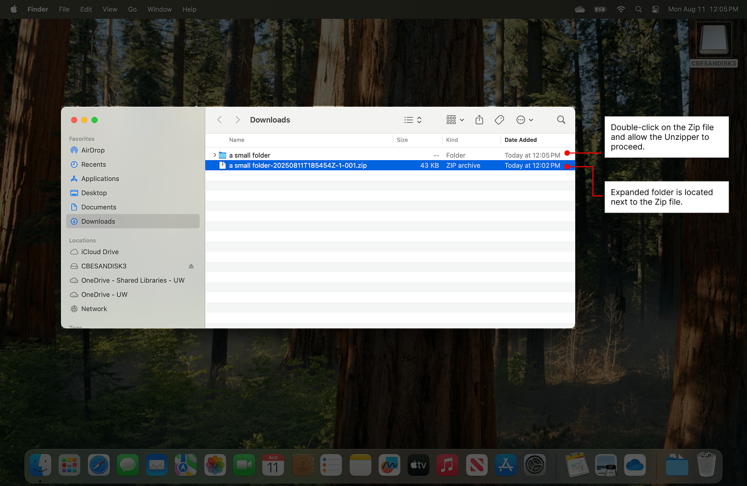 showing the folder extracted