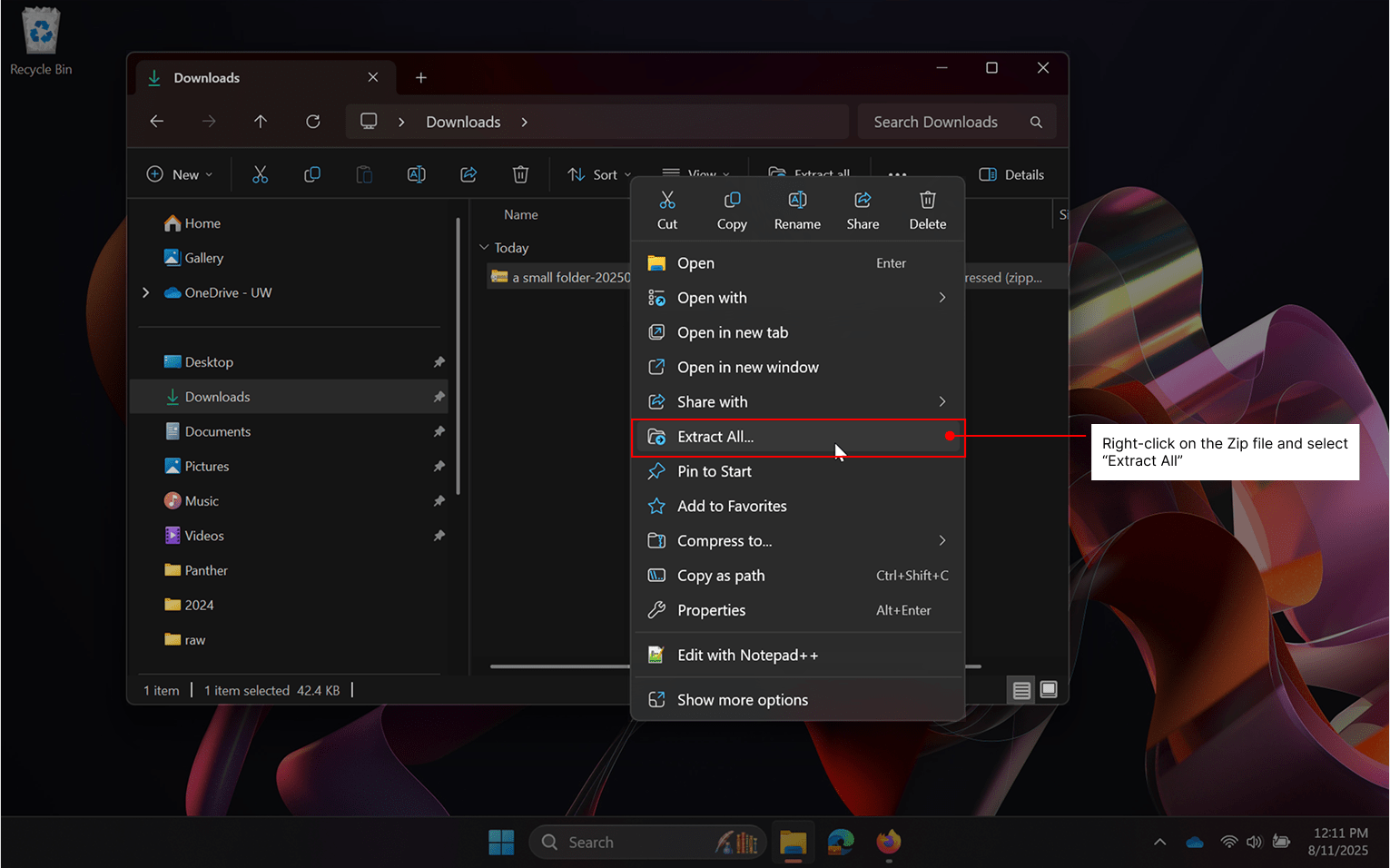 Showing the Extract All menu item in Windows