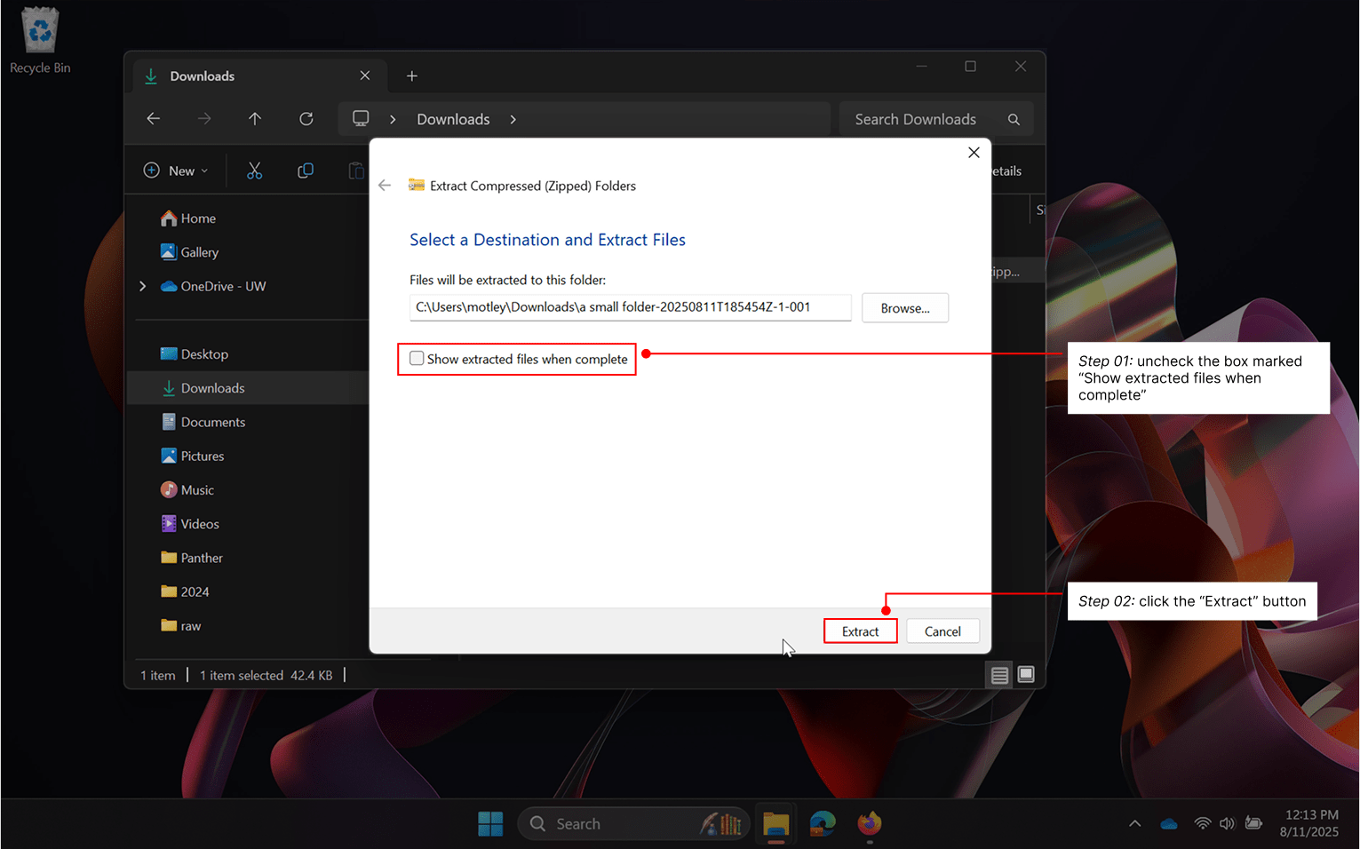 Showing the extract all dialog.