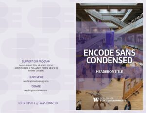 Brochure